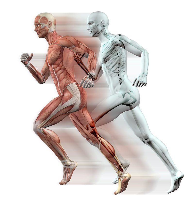 What Is Orthopedic and Sports Medicine What Is Orthopedic and Sports Medicine
