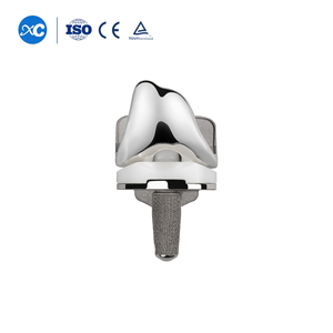 Primary Total Knee