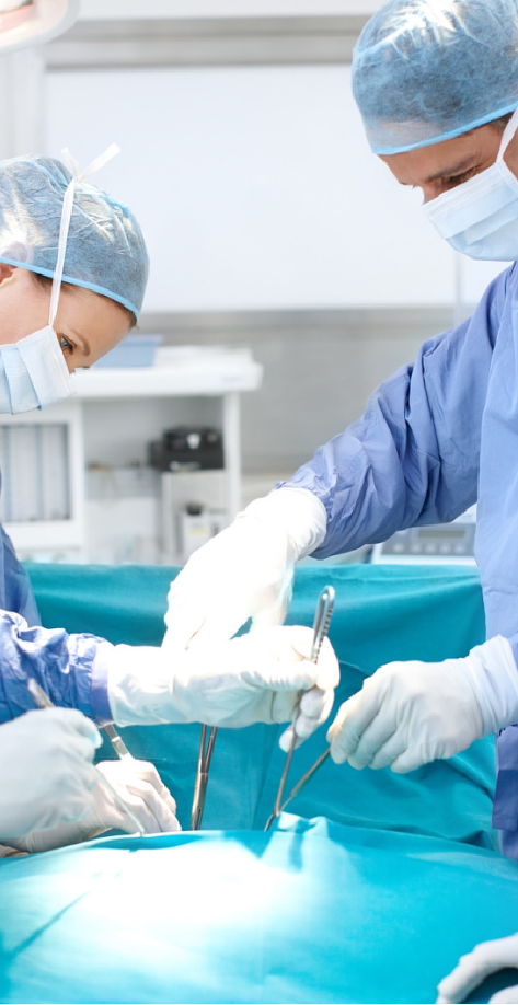 Clinical Training & Surgical Support