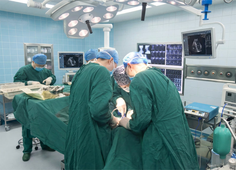 expert-led innovation