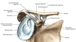 Dijanjosi u Trattament ta 'Frattura ta' Clavicle-1