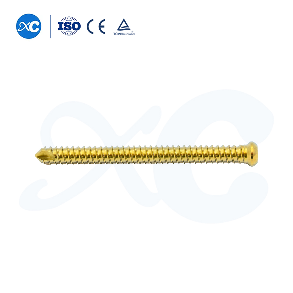 Hindfoot Fusion Ankle Nail - Buy Product on XC Medico