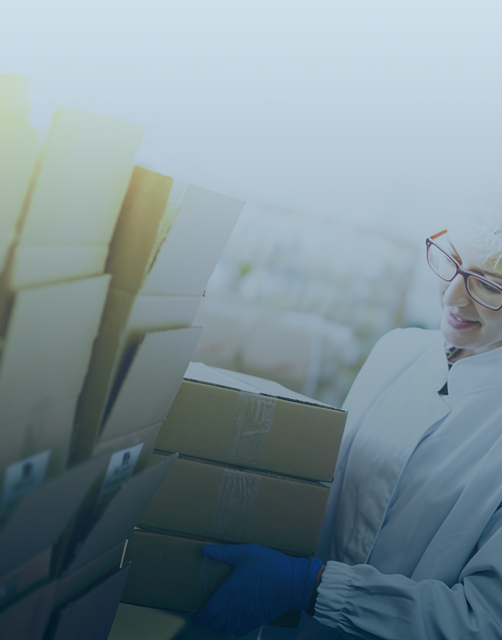 Rapid Global Delivery