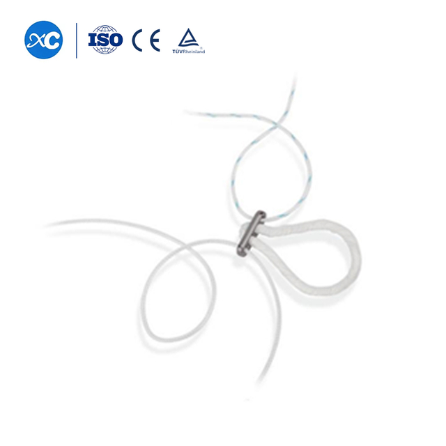 Fixed Titanium Plate