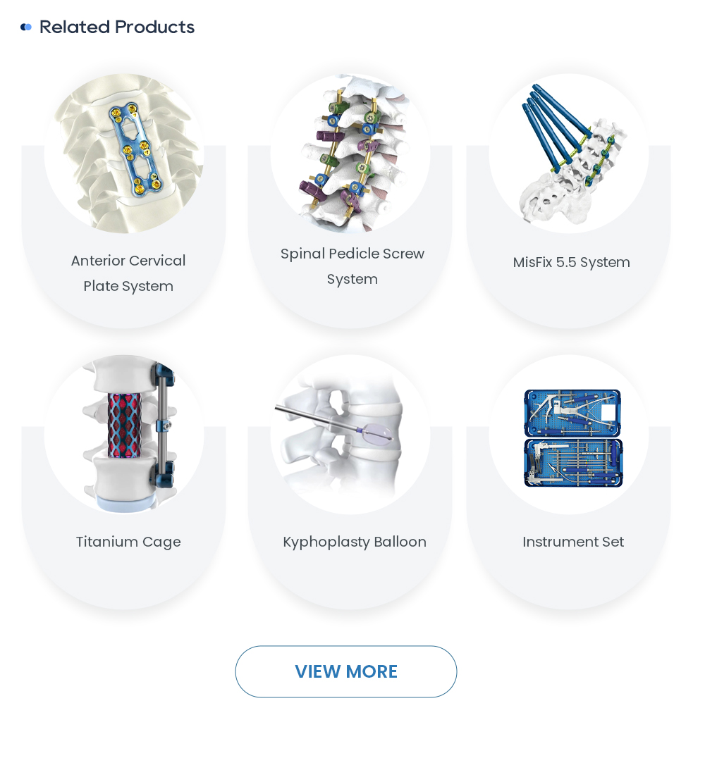 Related Orthopedic Spine Implants: Spinal Pedicle Screws, Anterior Cervical Plates, and Titanium Cages