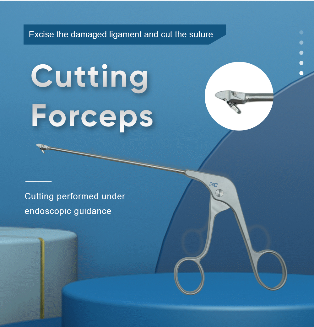 Cutting Forceps - Buy Product on XC Medico