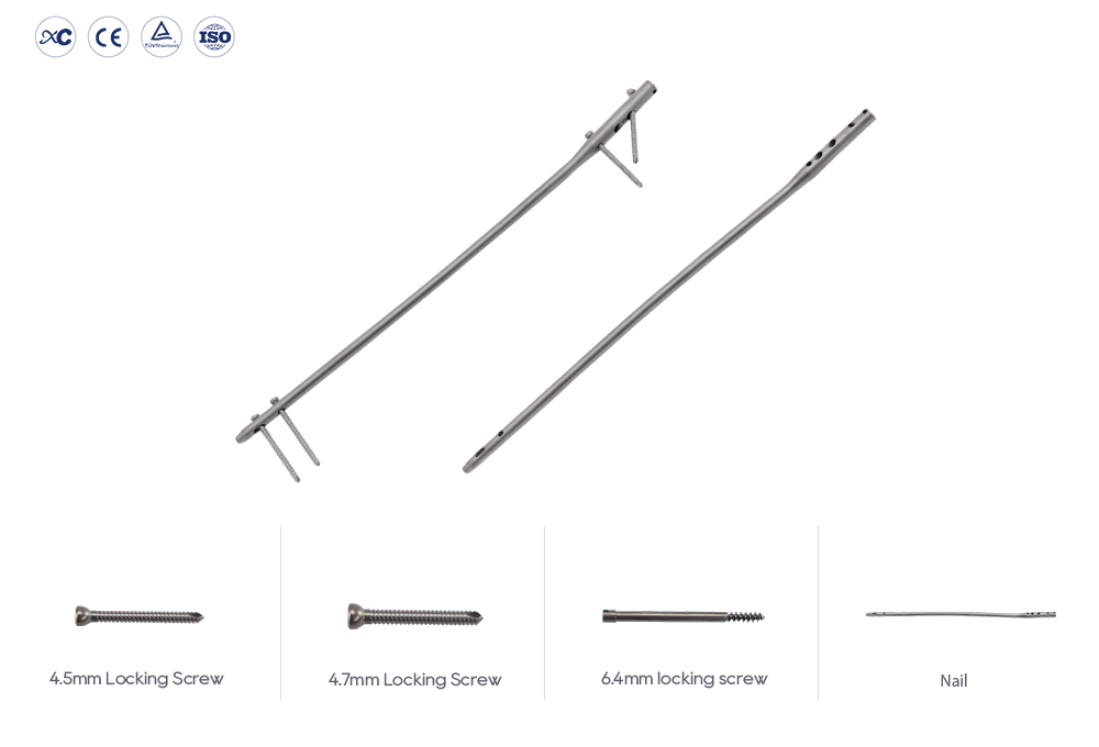Femoral Expert Reconstruction Intramedullary Nail Implants