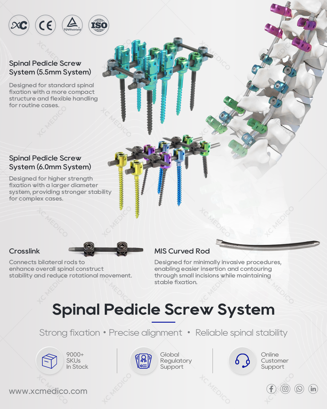Spinal Pedicle Screw