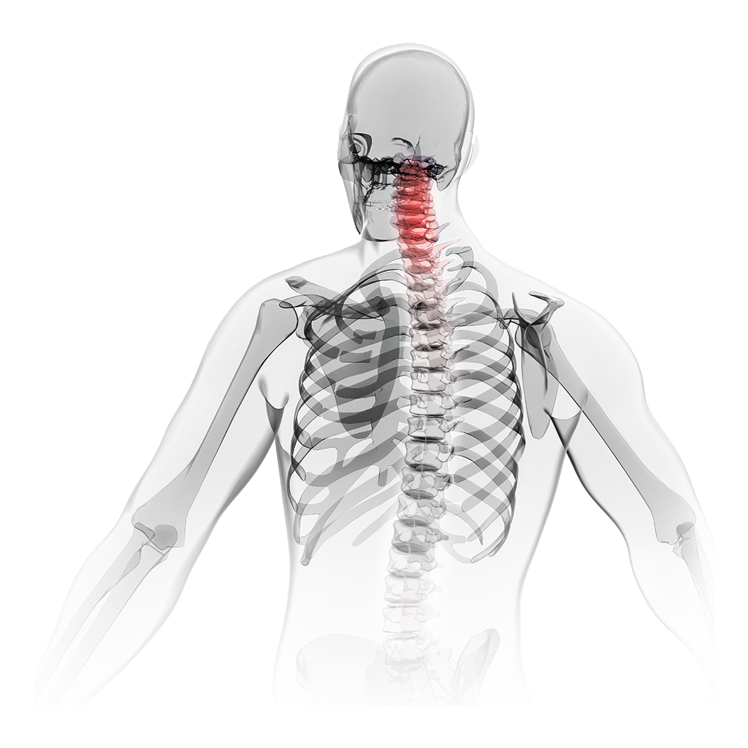 Global spine implant manufacturers and surgical technologies