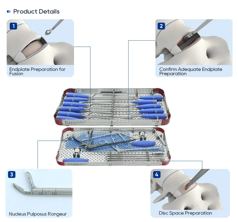 ALIF instrument set product details showing endplate preparation, nucleus pulposus rongeur and disc space preparation steps