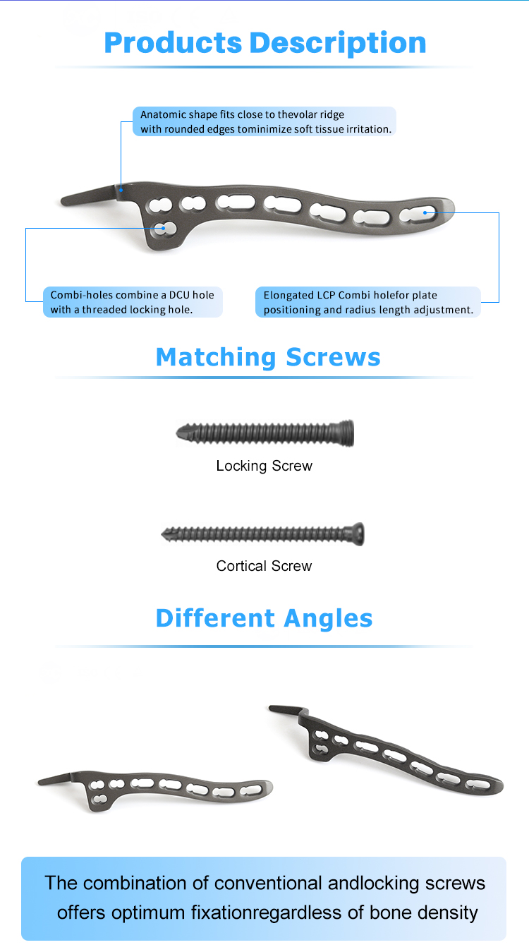 Clavicle-Cakar-Ngonci-Plate_02
