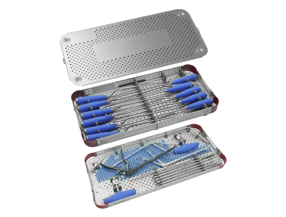Anterior lumbar interbody fusion instrument set laid out in an open double-layer sterilization tray