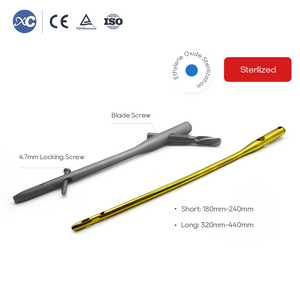 PFNA Intramedullary Nail | Proximal Femur Fracture Fixation