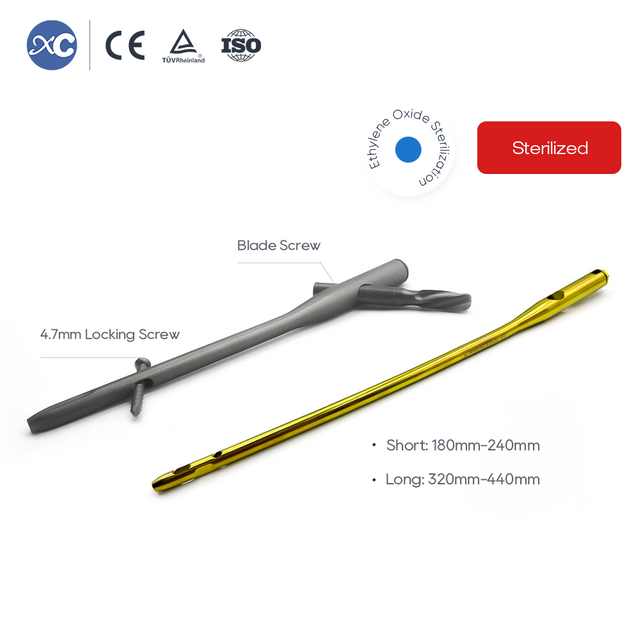 نینۆکی ناو مێشکی PFNA | جێگیرکردنی شکانی ڕان لە نزیکەوە