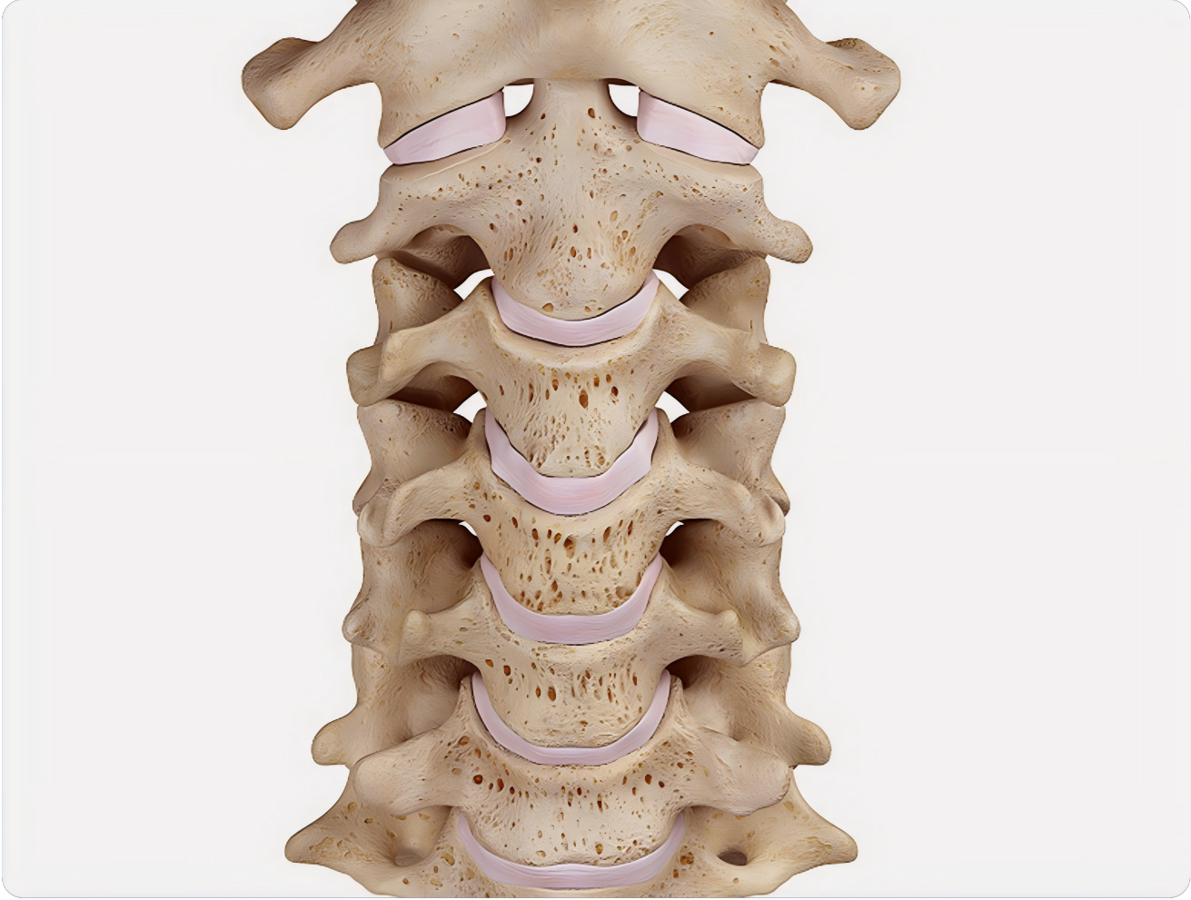 C3 to C7 cervical spine levels