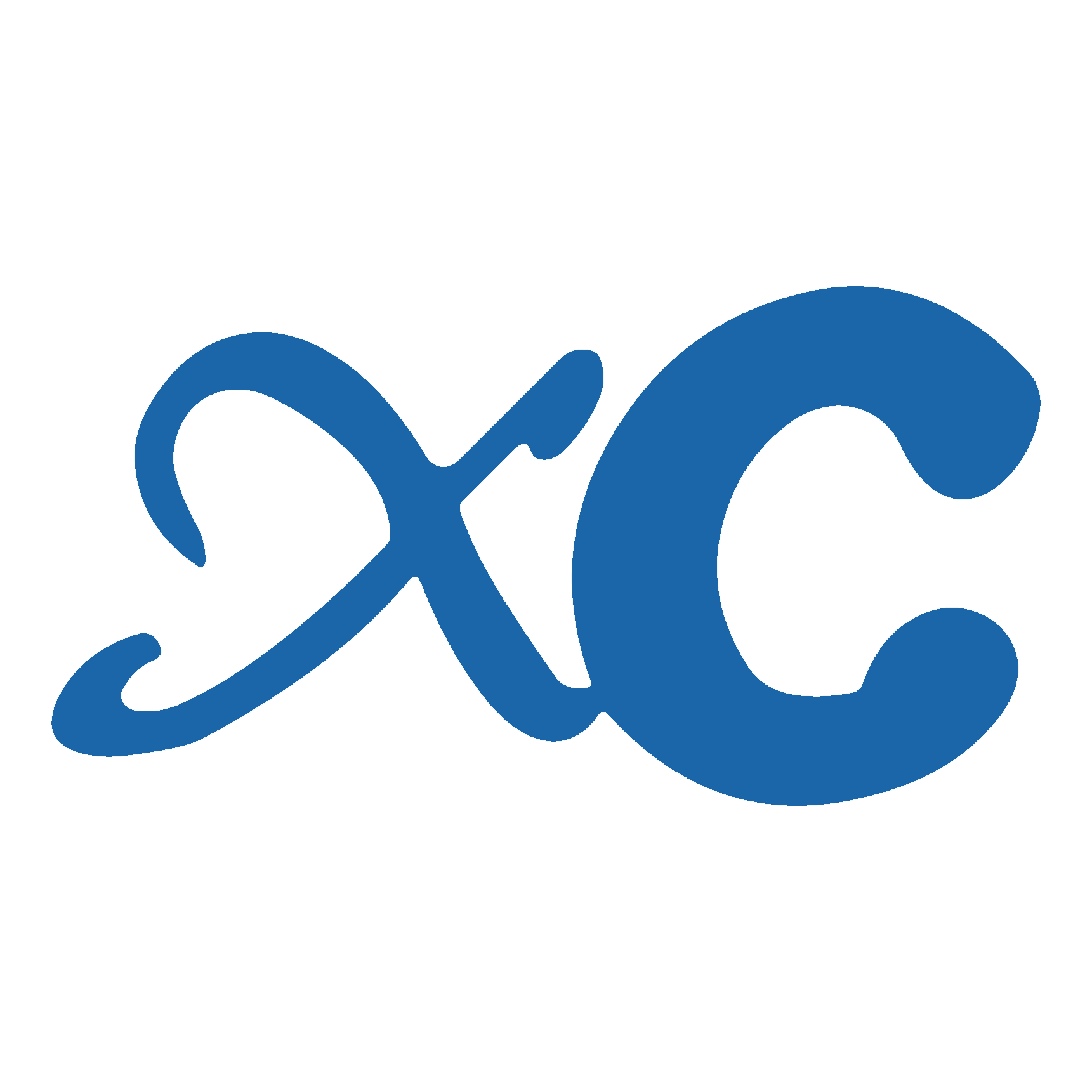 XC Medico open and minimally invasive pedicle screw systems for distributors