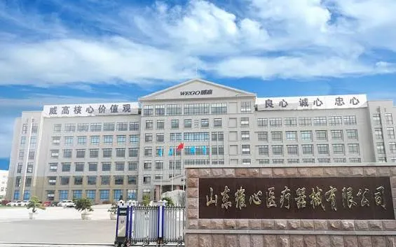 Weigao Orthopaedic — WEGO Ortho