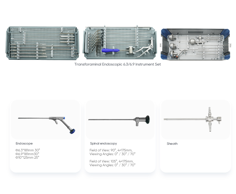 Transforaminal Endoscopic Instrument Set