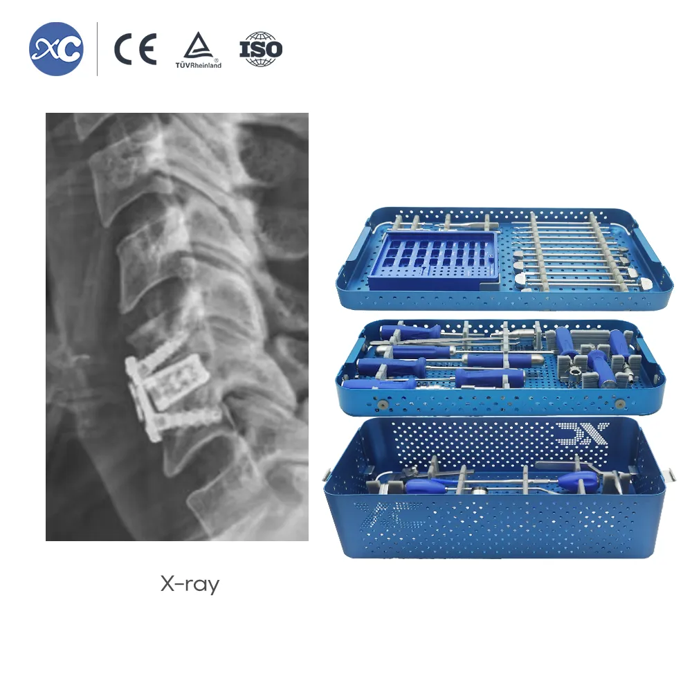Universal screwdriver for cervical cage locking screws