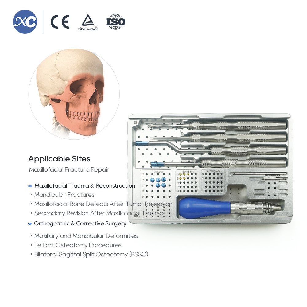 Membrane titanium mesh flat and anatomical for guided bone regeneration