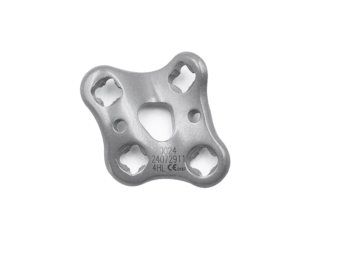 Glenoid Cavity Locking Plate