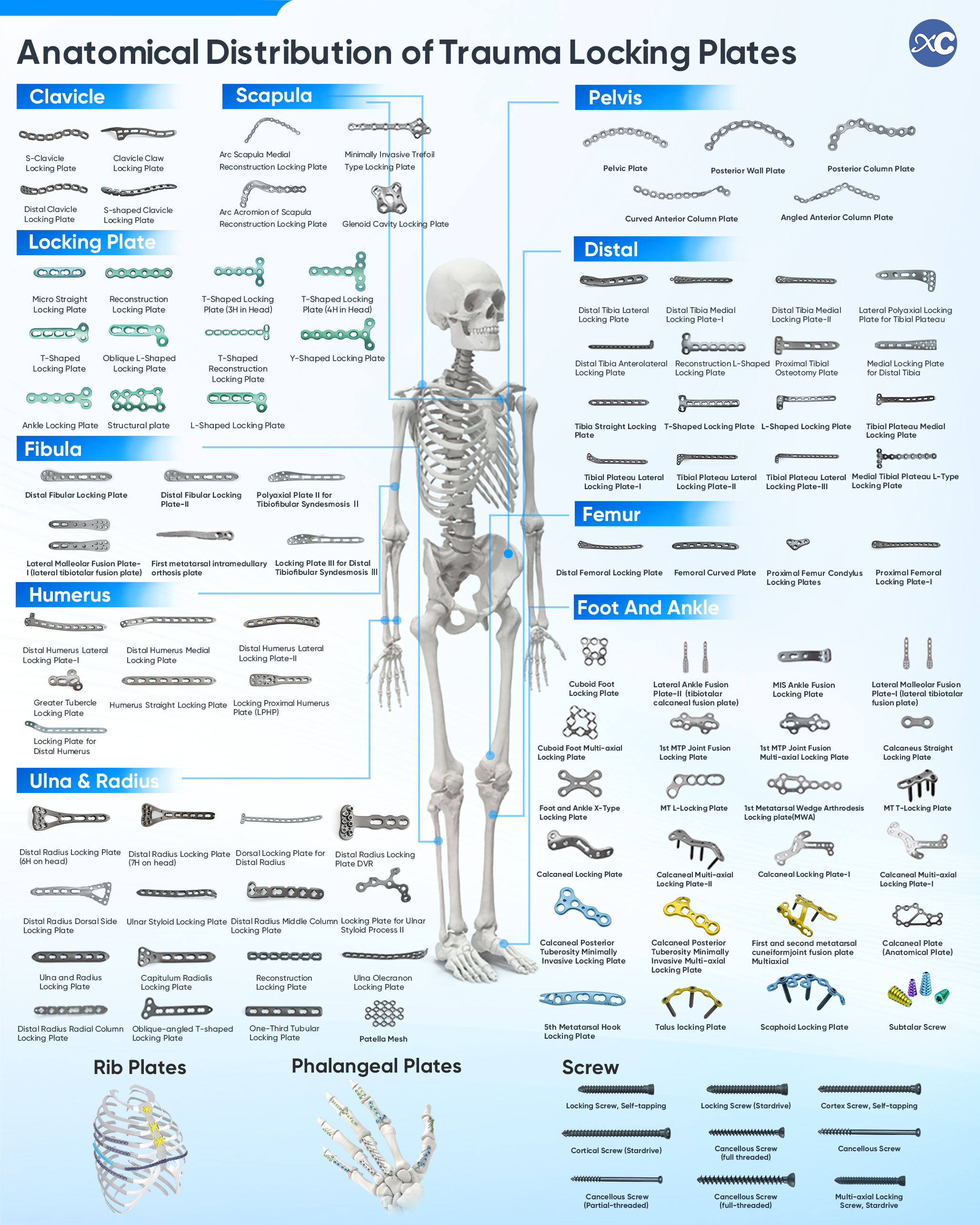 XC Medico Locking Plates for orthopedic distributors