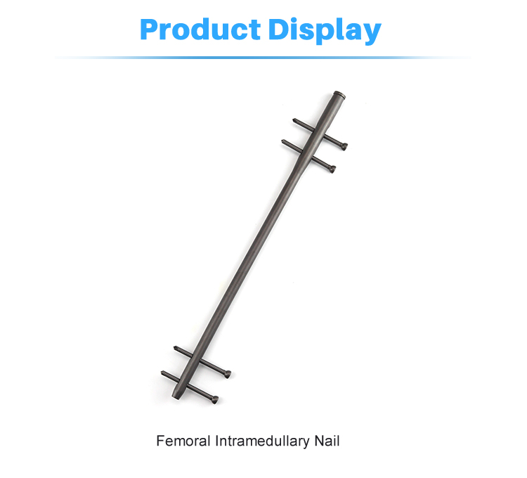 Femoral Intramedullary Nail Product Display