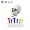 Maxillofacial Screw Manufacturer Titanium Fixation Screws for Facial Trauma - 5