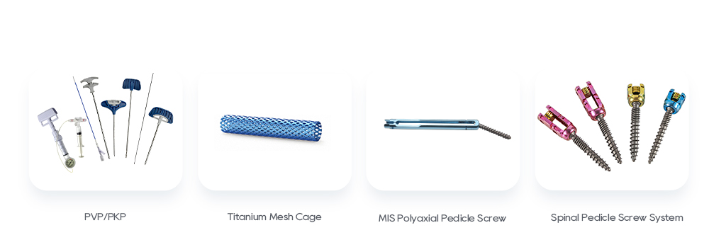 Related Product Recommendations: PVP/PKP, Titanium Mesh Cage, MIS Polyaxial Pedicle Screw, Spinal Pedicle Screw System