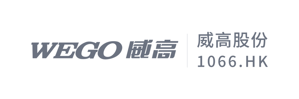 10-weigao-orthopaedic-gray.png