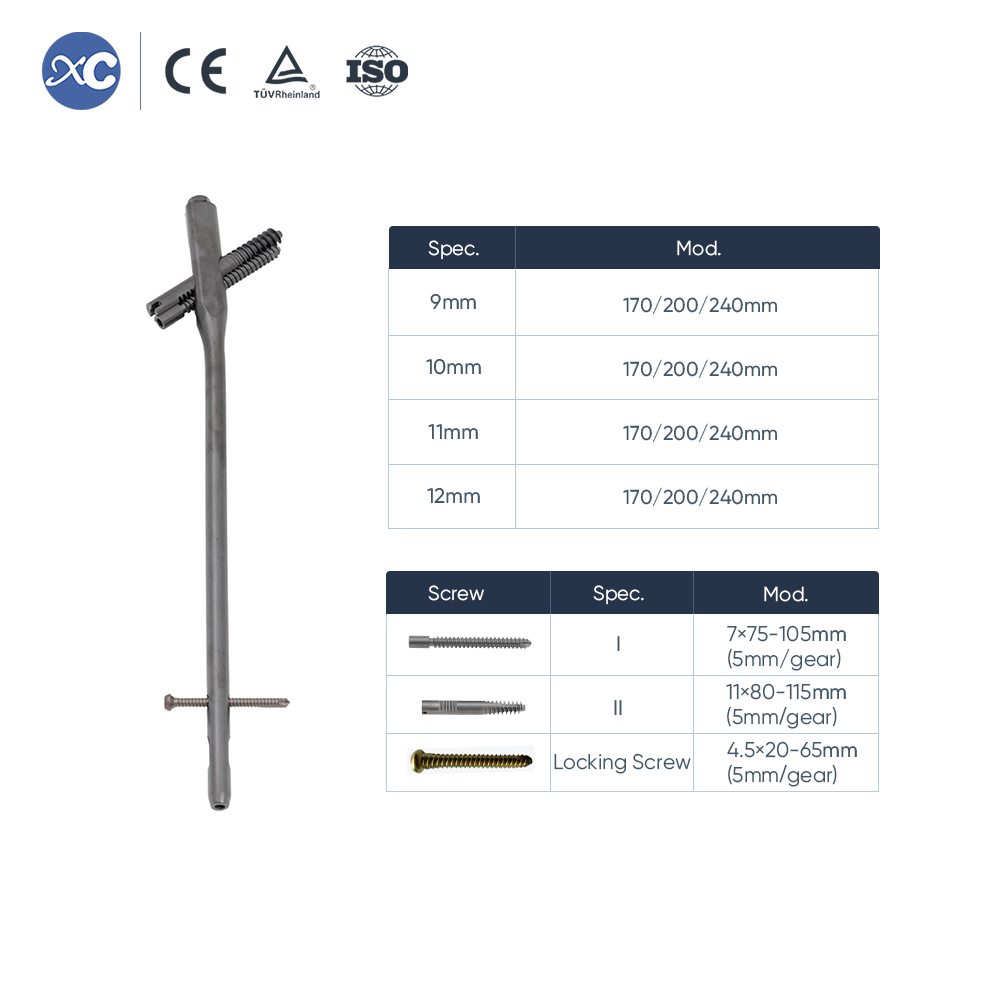 Intertan Nail System | xc medico