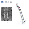 MLD Articulating Retractor Set Ensengeka y'ebintu | Ebikozesebwa mu kusala ebitundu by’omubiri ebiyitibwa Micro Lumbar Discectomy