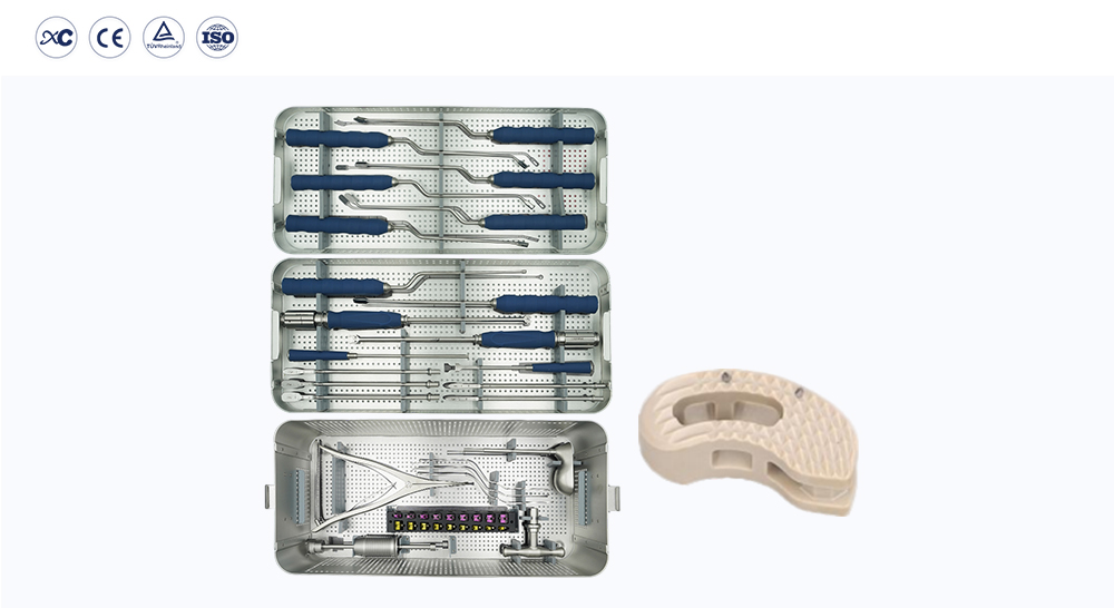 TLIF PEEK Jaula Lumbar ha Intercuerpo Fusi&oacute;n Instrumento Conjunto