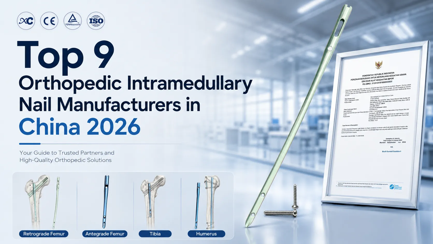 Top 9 Orthopedic Intramedullary Nail Manufacturers in China 2026 Top 9 Orthopedic Intramedullary Nail Manufacturers in China 2026