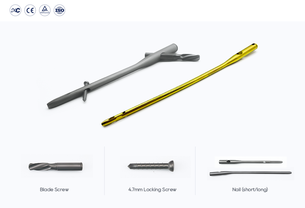 PFNA Intramedullary Nail System with Helical Blade and Locking Screw