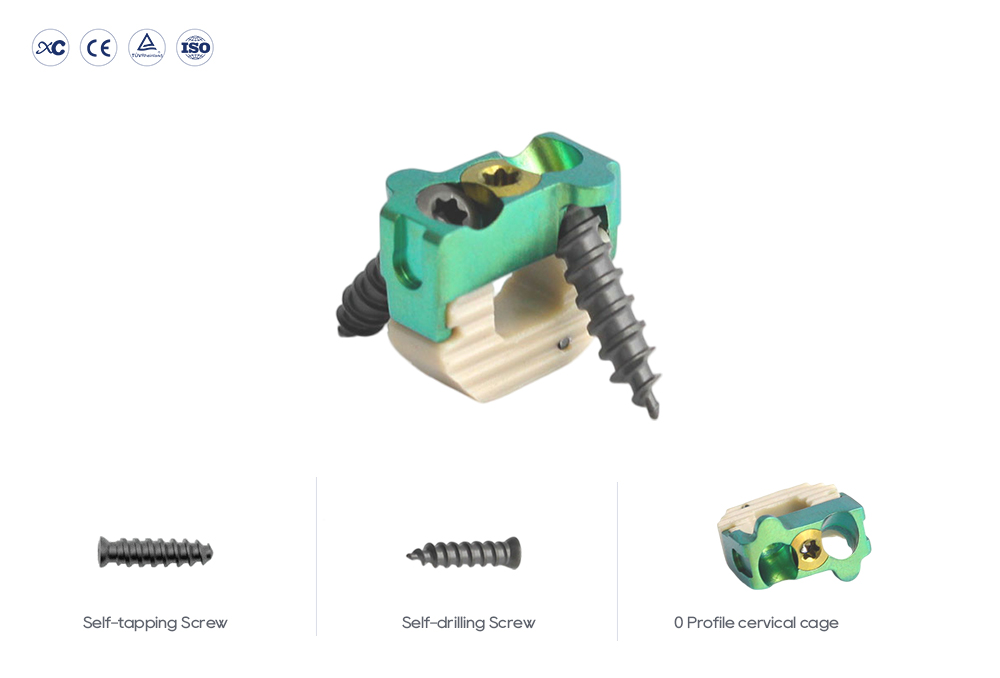 Zero profile cervical PEEK cage with 2 locking screws for ACDF surgery