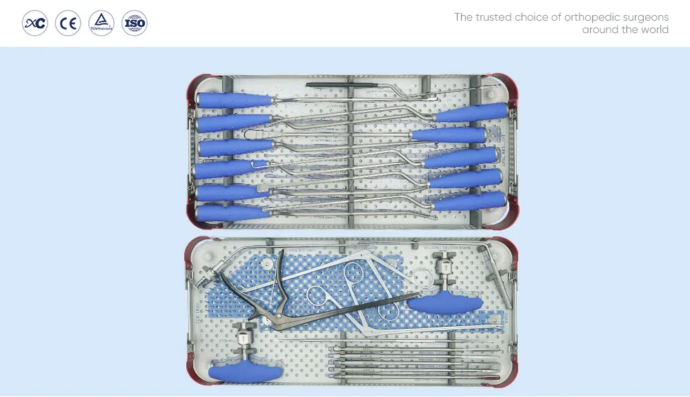 Anterior interbody cage instrument set with ALIF cage, anterior lumbar interbody fusion plate and Φ5.5 locking screws in a double-layer sterilization tray