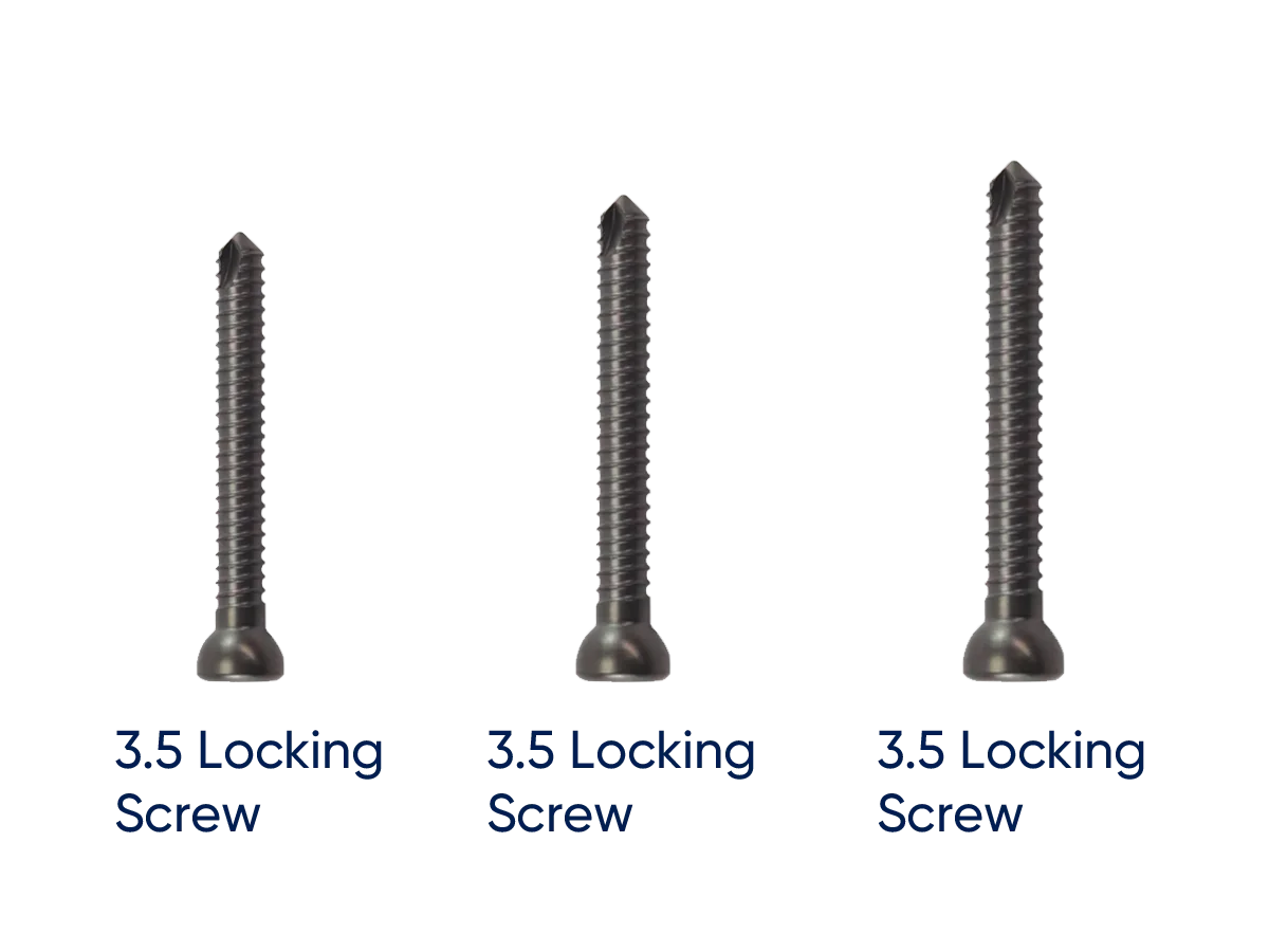Humerus Multi Lock nail locking screws