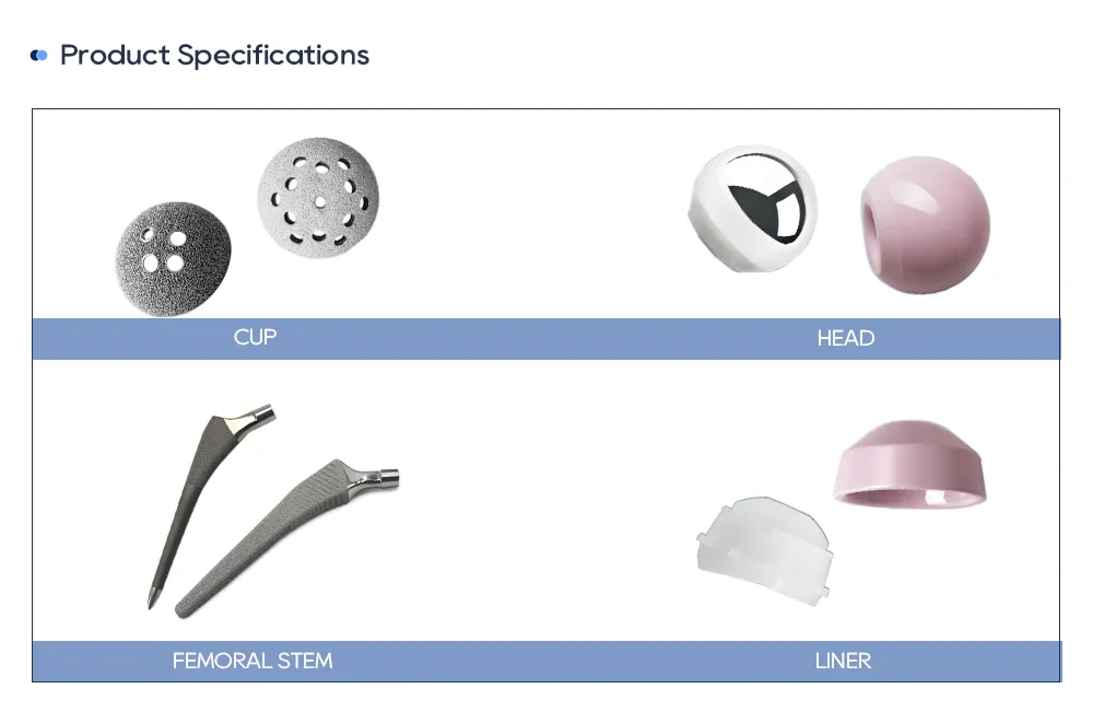 Hip prosthesis components: acetabular cup, femoral head, femoral stem and liner